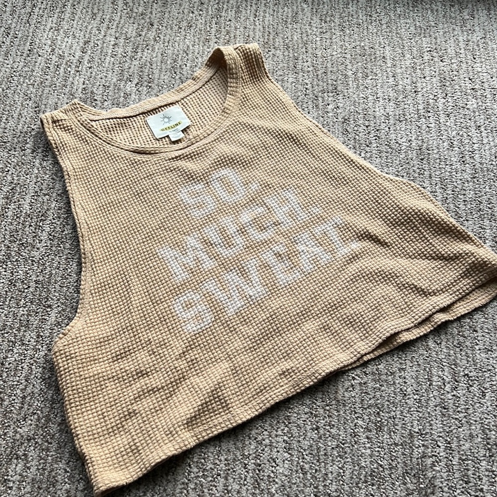 Offline by Aerie Cropped Tank